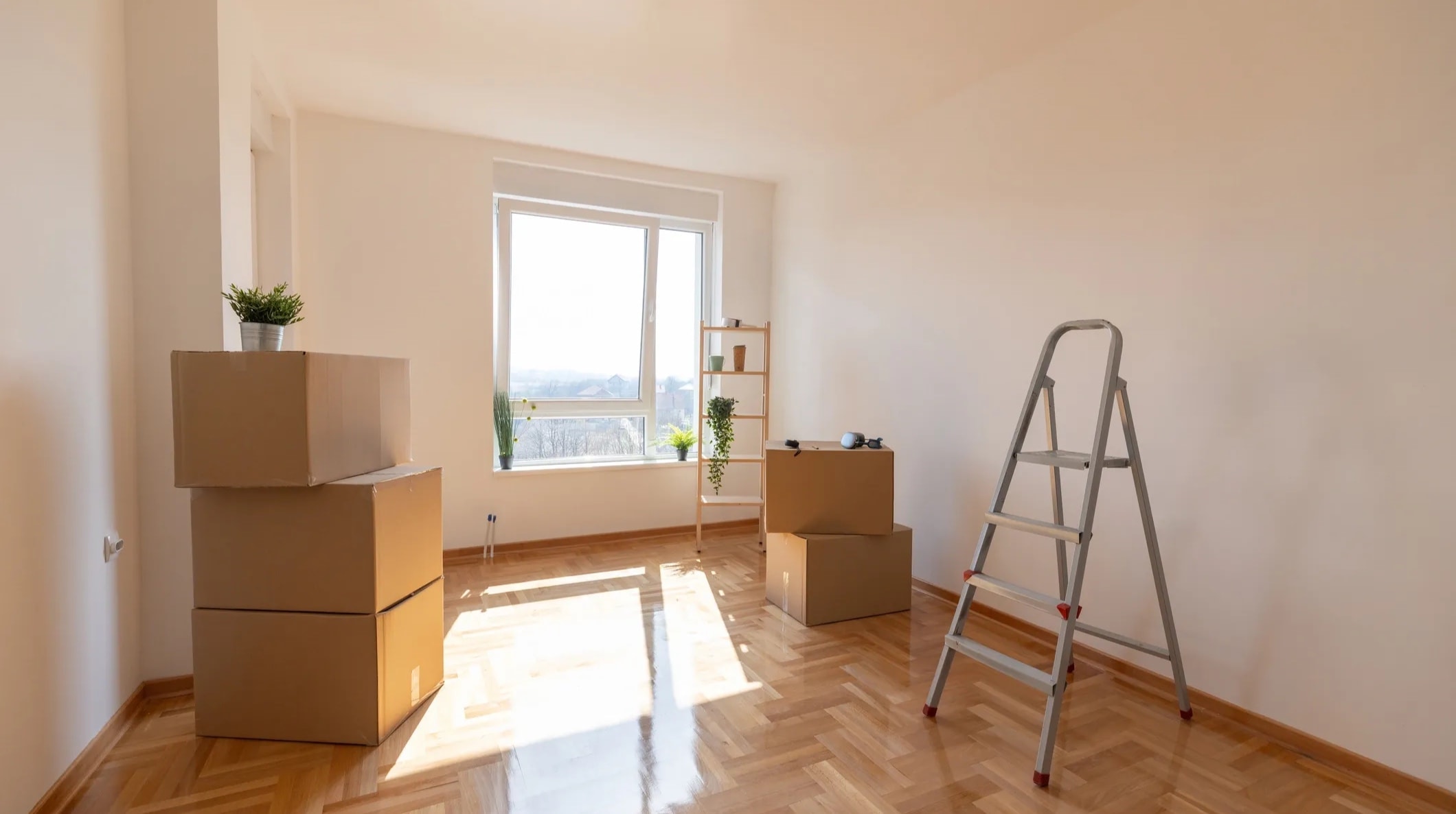 Moving In & Out
